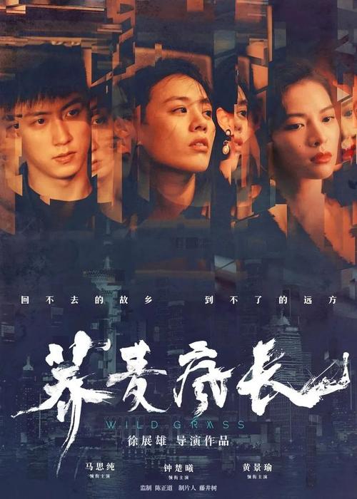 加州州立大学学士证书